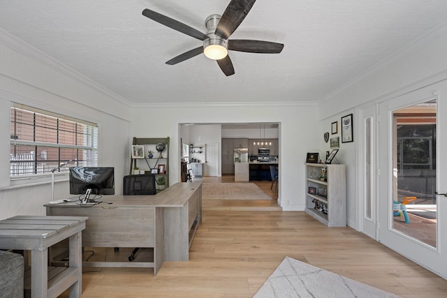 6572 Brookhurst Cir, Lake Worth, FL 33463 - home office featuring light wood finished floors, ceiling fan, ornamental molding, and a textured ceiling