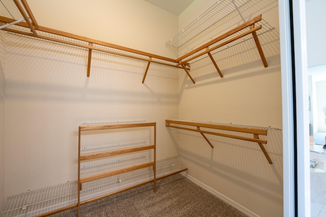 407 SW Fairway Lndg, Port Saint Lucie, FL 34986 - walk in closet with carpet floors