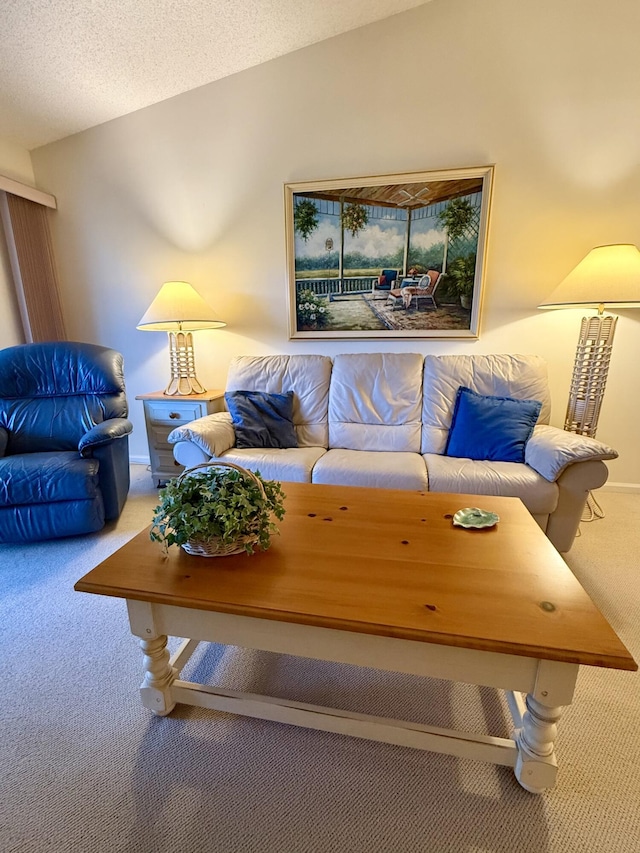 1142 Keystone Dr Unit C, Jupiter, FL 33458 - living area with carpet floors