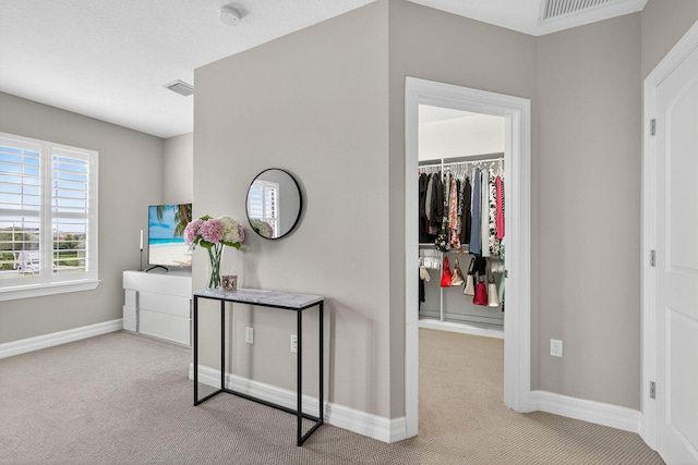 8343 Cinch Way, Lake Worth, FL 33467 - hall with carpet