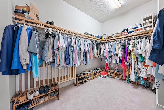 171 Tresana Blvd Unit 129, Jupiter, FL 33478 - walk in closet with carpet floors