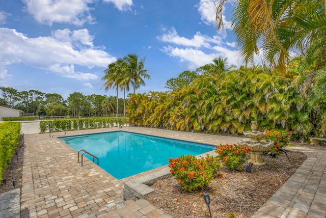 11085 86th St N, Palm Beach Gardens, FL 33412 - swimming pool featuring a patio area