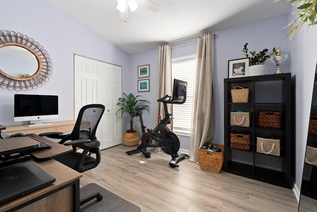 6351 Adams St, Jupiter, FL 33458 - office featuring lofted ceiling, light wood-type flooring, healthy amount of natural light, and ceiling fan