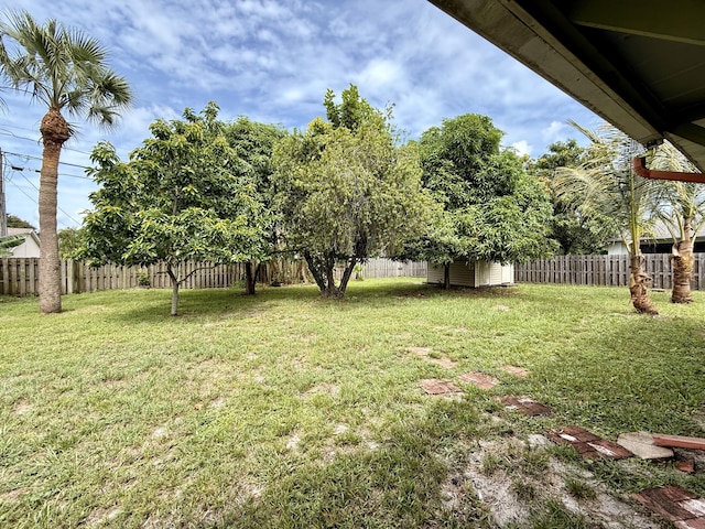 1114 SW Del Rio Blvd, Port Saint Lucie, FL 34953 - fenced backyard with a storage shed
