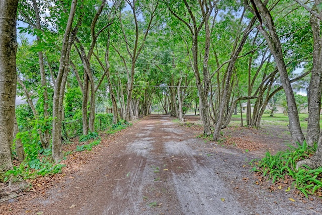 1395 SE Darling St, Stuart, FL 34997 - view of dirt / gravel road