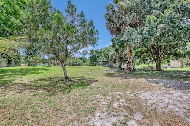 1395 SE Darling St, Stuart, FL 34997 - view of grassy yard featuring a storage shed and view of scattered trees