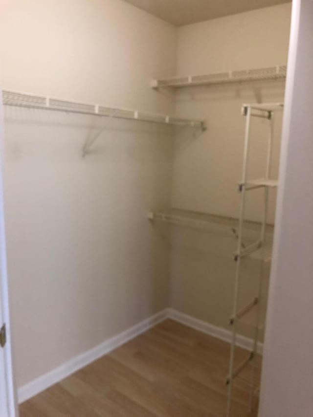 4855 Via Palm Lks Unit 904, West Palm Beach, FL 33417 - spacious closet with wood finished floors