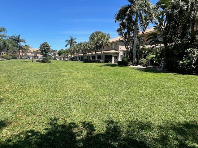 6976 Thicket Trce, Lake Worth, FL 33467 - view of green lawn