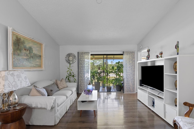 22100 Palms Way Unit 204, Boca Raton, FL 33433 - living area featuring a textured ceiling, dark wood-style flooring, and lofted ceiling