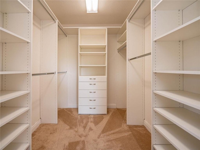 17464 SW 47th Ct, Miramar, FL 33029 - walk in closet with light carpet