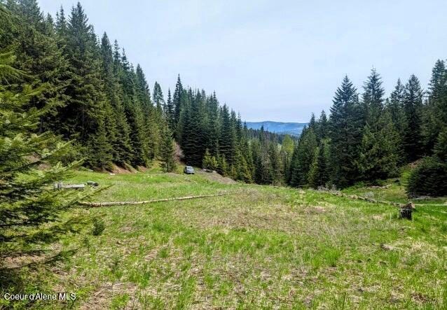 NKA Gold Ridge Rd, Saint Maries, ID 83861