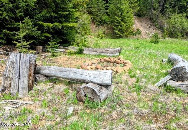 NKA Gold Ridge Rd, Saint Maries, ID 83861