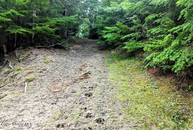 NKA Gold Ridge Rd, Saint Maries, ID 83861