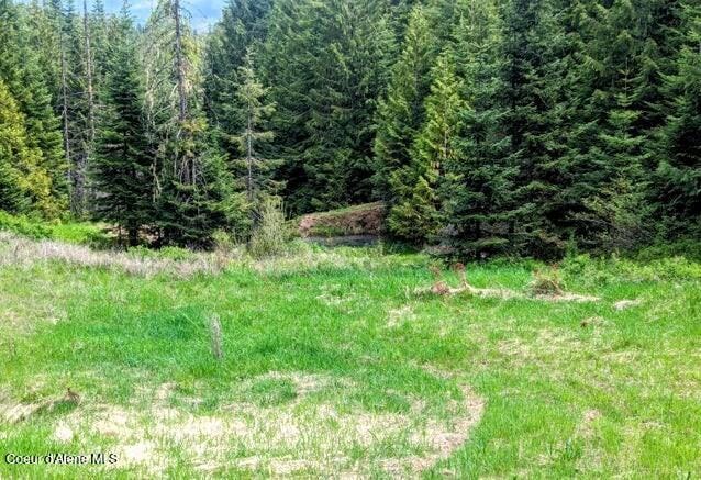NKA Gold Ridge Rd, Saint Maries, ID 83861