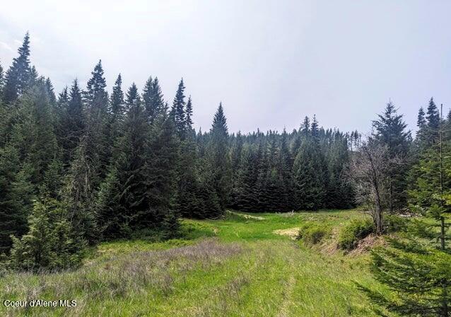 NKA Gold Ridge Rd, Saint Maries, ID 83861