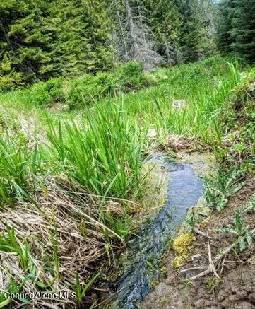 NKA Gold Ridge Rd, Saint Maries, ID 83861