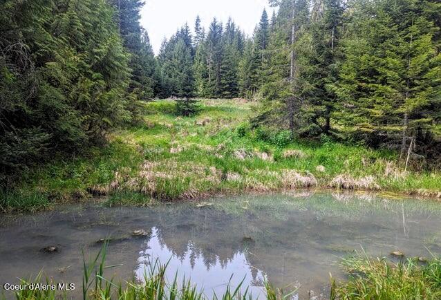 NKA Gold Ridge Rd, Saint Maries, ID 83861
