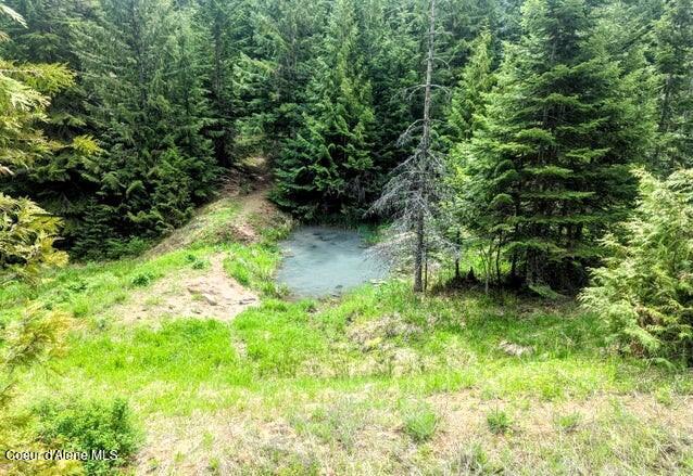 NKA Gold Ridge Rd, Saint Maries, ID 83861