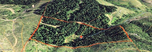 NKA Gold Ridge Rd, Saint Maries, ID 83861