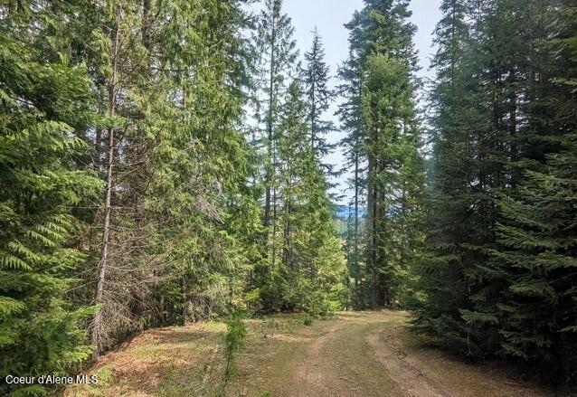 NKA Gold Ridge Rd, Saint Maries, ID 83861