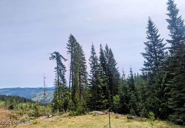NKA Gold Ridge Rd, Saint Maries, ID 83861