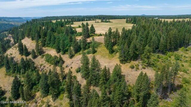 1605 Jasmine Ln Unit 17, Weippe, ID 83553