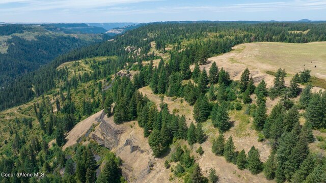 1605 Jasmine Ln Unit 17, Weippe, ID 83553