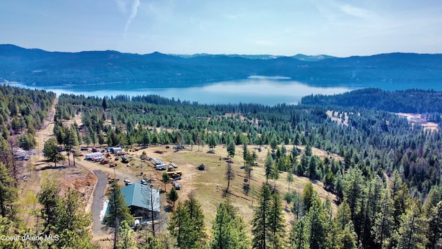 aerial view featuring a water and mountain view