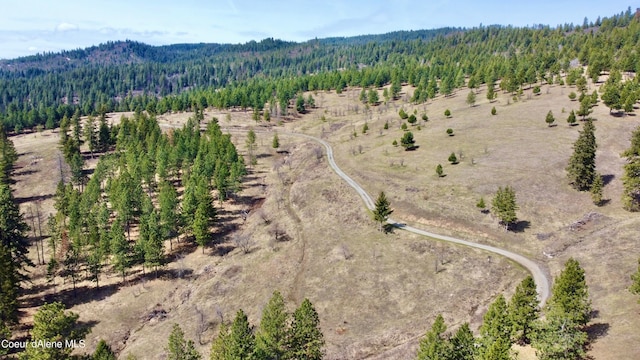 bird's eye view with a rural view