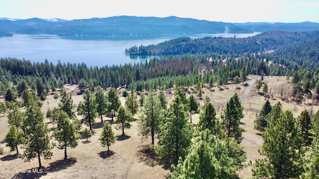 birds eye view of property with a water and mountain view