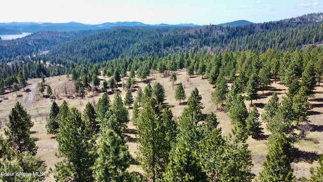 bird's eye view with a mountain view