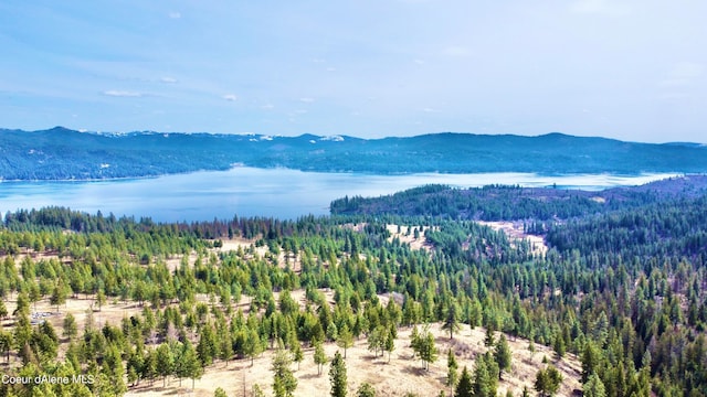 birds eye view of property with a water and mountain view