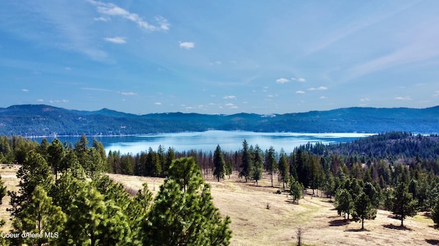 property view of mountains with a water view