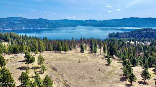 property view of mountains with a water view