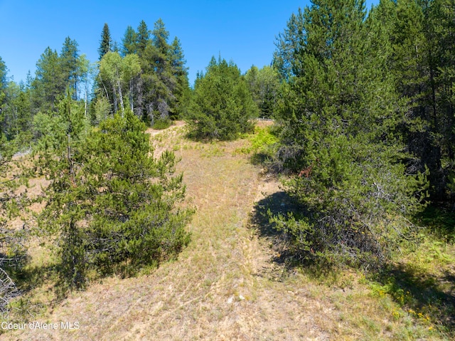 Listing photo 2 for 30ACRES Lamb Creek Rd, Priest Lake ID 83856