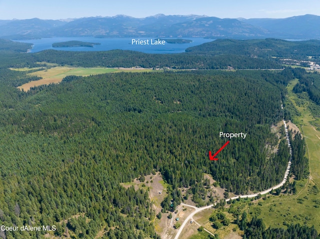 30ACRES Lamb Creek Rd, Priest Lake ID, 83856 land for sale