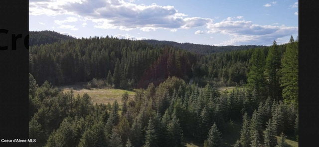 Quartz Creek Rd, Priest River ID, 83856 land for sale