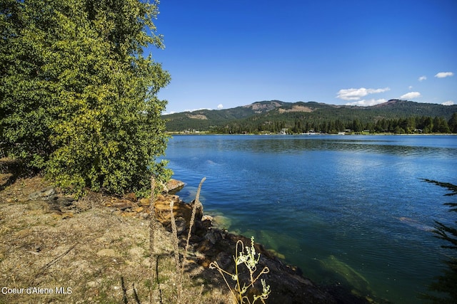 NKA Braden Court, Priest River ID, 83856 land for sale