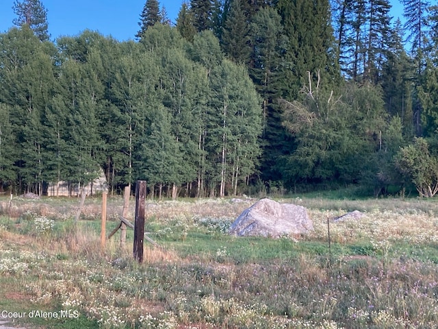 view of local wilderness