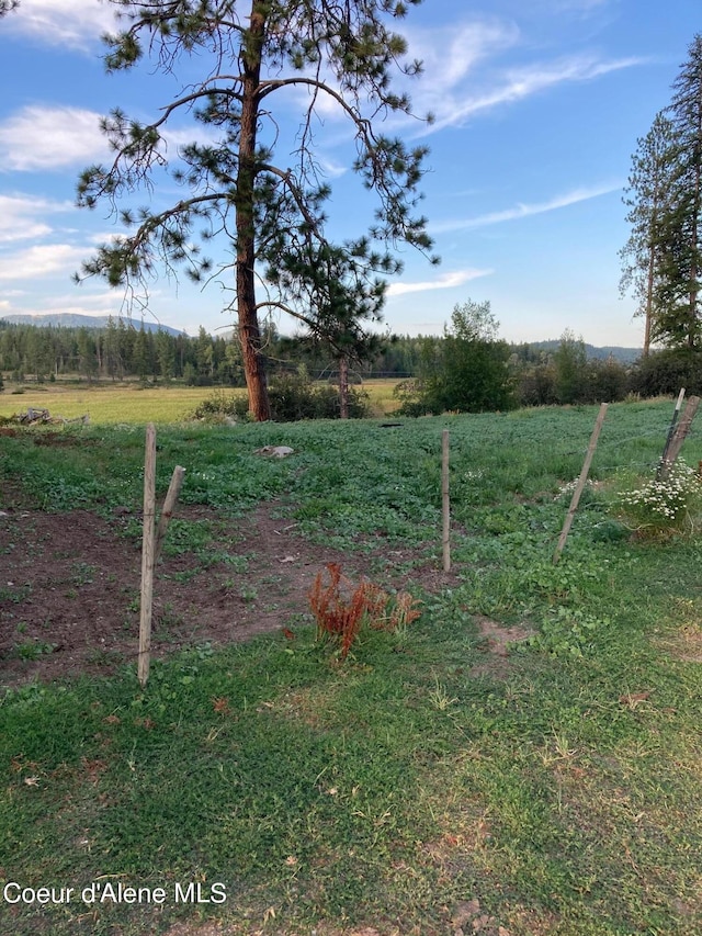 view of yard featuring a rural view