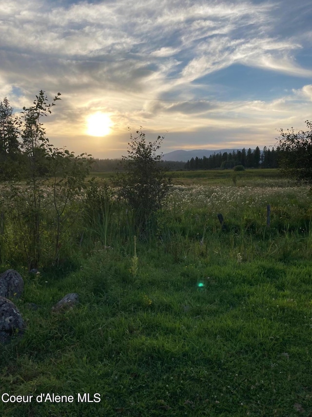 nature at dusk with a rural view