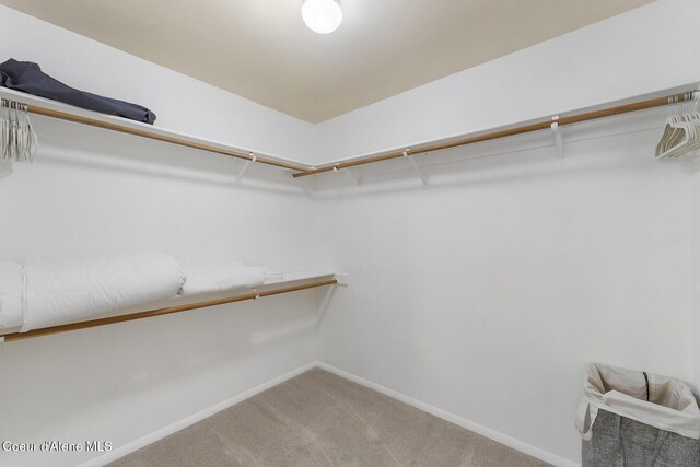 2772 W Lutherhaven Rd, Coeur Dalene, ID 83814 - spacious closet with carpet floors