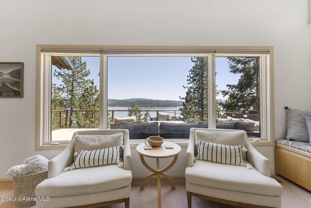2772 W Lutherhaven Rd, Coeur Dalene, ID 83814 - living area with a water view, plenty of natural light, and carpet