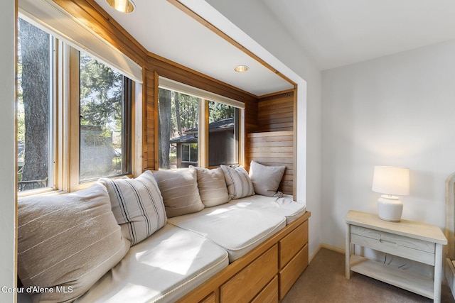 2772 W Lutherhaven Rd, Coeur Dalene, ID 83814 - interior space featuring carpet, wood walls, and baseboards