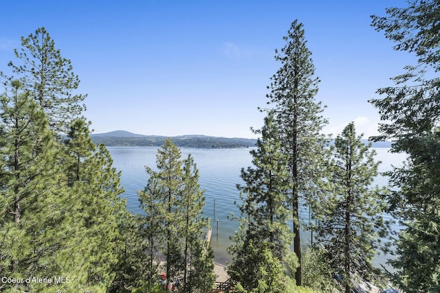 2772 W Lutherhaven Rd, Coeur Dalene, ID 83814 - water view featuring a mountain view