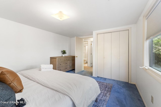 2772 W Lutherhaven Rd, Coeur Dalene, ID 83814 - bedroom with a closet and carpet