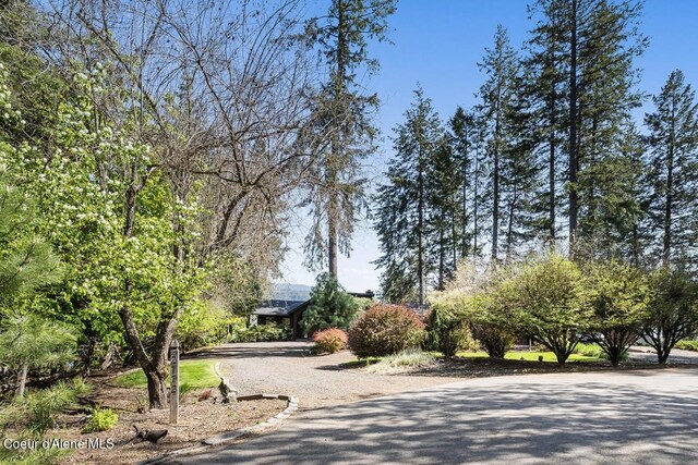 2772 W Lutherhaven Rd, Coeur Dalene, ID 83814 - view of community