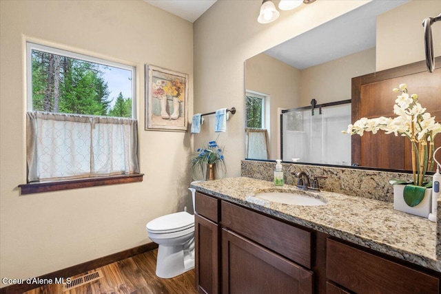 bathroom featuring a wealth of natural light, a shower with door, vanity, and wood-type flooring