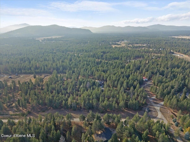 drone / aerial view with a mountain view