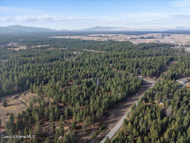 bird's eye view featuring a mountain view